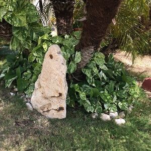 Meet your Posher, Iris